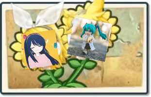 我们的美好回忆